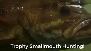 How To Catch Trophy Winter Smallmouth Bass!