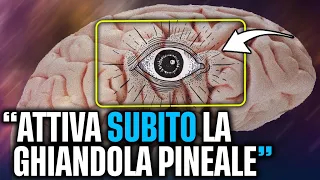 LA GHIANDOLA DI DIO -  Definito anche Il Terzo Occhio! (CONOSCENZA SEGRETA)