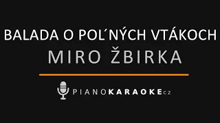 Miro Žbirka - Balada o poľných vtákoch | Piano Karaoke Instrumental