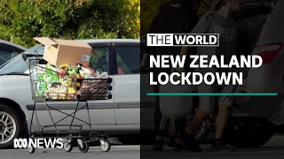 Annoyed New Zealanders head back into second coronavirus lockdown | The World