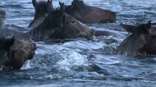 Обряд "Хартыгайлаар"