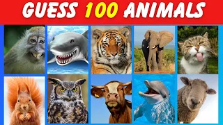 Guess 100 Animals in 5 Seconds  2024| Easy, Medium, Hard, Impossible