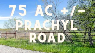 75 AC +/- Prachyl Road, Ennis TX