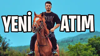 KENDİME AT ALDIM!! (BİNMEYİ ÖĞRETİYORUM)