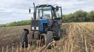 Трактор МТЗ 892 в работе с бороной дисковой АГ-2,4 Дисковка Палки Подсолнечника 2020