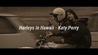 Harleys in Hawaii sped up tiktok