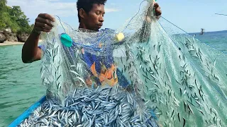 hitungan menit rombongan ikan disapu bersih dengan jaring, Ribuan ikan ini terdampar dipinggiran 😱