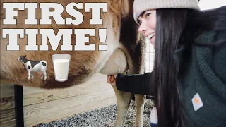 FIRST TIME MILKING OUR COW EVER! | HOW TO MILK A COW (LEARN WITH US) | LARGE FAMILY HOMESTEAD | VLOG