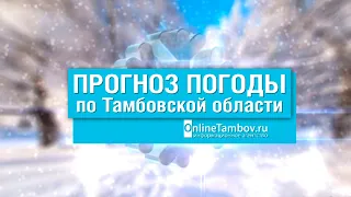 Прогноз погоды в Тамбове и Тамбовской области на 11 февраля 2021 года