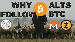 Why the Alts Follow BTC Price Movements