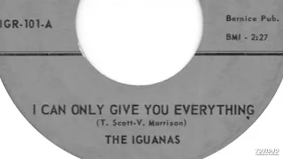 The Iguanas - I Can Only Give You Everything  (Them Cover)