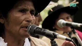 La ruta de las especias: La albahaca (capítulo completo) - Canal Encuentro