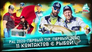 PAL 2020. У нас было 11 контактов с РЫБОЙ. 1 Тур 1 этапа. Volga Baits Team