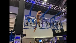 Roller Coasters, VR, & A Dinosaur v Ninja Warrior Course | IAAPA Expo 2018