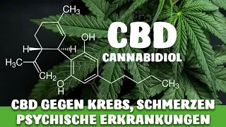 CBD (Cannabidiol) und seine WIRKUNGEN - KREBS, DEPRESSIONEN, SCHMERZEN etc.