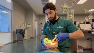 day in the life of a first year dental student