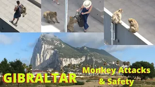 Monkey Attacks at  the Top of Gibraltar and How to Avoid Them; Be Diligent and Stay Safe Around Them