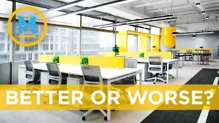 Open concept offices aren’t as productive as you think | Your Morning