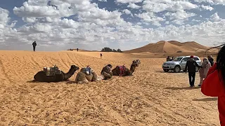 Sahara Desert Of Merzouga - Travel 4K Ultra HD