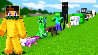 MINECRAFT MA PUOI ADDOMESTICARE TUTTI I MOB