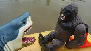 DEFEND BABY KONG UNDER THE WATER Vs. SHARK | BOBOTV