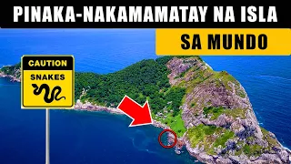Ang Nakamamatay na Isla sa Buong Mundo | Isla na punong puno ng mga ahas