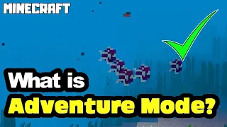 MINECRAFT | What is Adventure Mode?