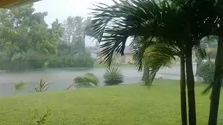 irma at 5:30 in cape coral