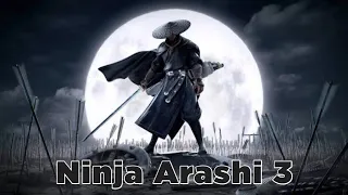 Ninja Arashi 3 Confirmed!!