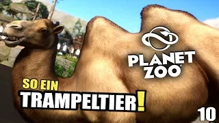 PLANET ZOO - 10 - So ein Trampeltier! | Planet Zoo Deutsch ► Franchise Mode