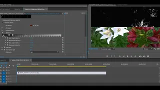 Эффект Кривая Яркости  Premiere Pro