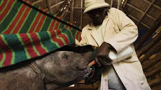 Home | Sheldrick Trust