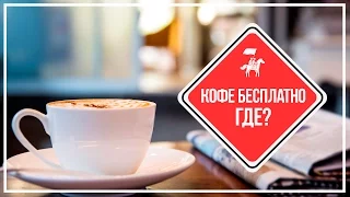 KudaGo Петербург: 10 кофеен, в которых можно получить бесплатный кофе