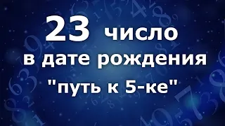 23 число в дате рождения  - "Путь к 5- ке." Анализ двойных чисел 23. Нумеролог Ася Бабиянц.