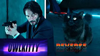 When your cat is a trained assassin (John Wick)  | (Reverse Order) @OwlKitty