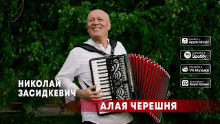 Николай Засидкевич - Алая черешня (премьера песни, 2024)
