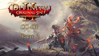 Divinity: Original Sin 2 CO-OP с ДейДримером - Часть 2