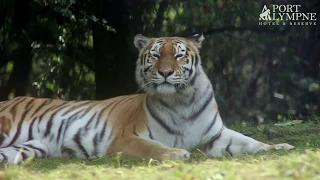 Ingrid Relaxes In Her New Home