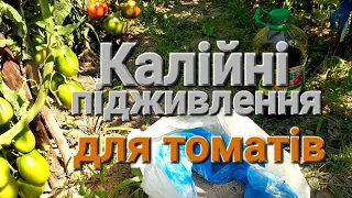 Калій для помідорів/// Підживлення помідорів в Серпні місяці/// Доступні Калійні добрива для томатів