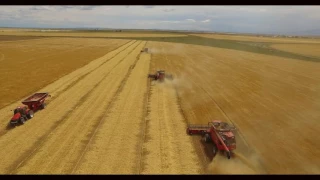 Straight Cutting Barley (2016)