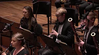 The Firebird Suite (1919) performed by The University of Melbourne Symphony Orchestra