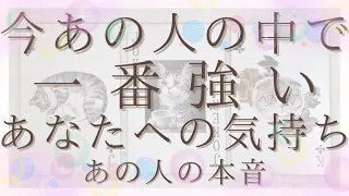 今あの人の中で一番強いあなたへの気持ち、あの人の本音【恋愛・タロット・オラクル・占い】