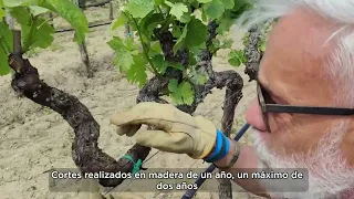 Marco Simonit, autor de 'Manual de poda de la vid. Cordón permanente'.