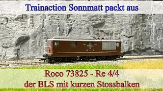 Roco 73825 - BLS Re 4/4 - tolles Modell mit vielen Funktionen und ausgezeichneten Fahreigenschaften