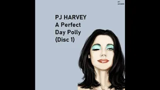 PJ Harvey 06 A Perfect Day Elise Video Version