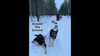 Dog Sledding - Rovaniemi - Finland - Raitoli Husky Farm