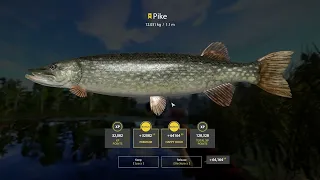 Russian Fishing 4 Trophy Pike 12.031kg at Old Burg