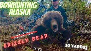 Moose Hunt turns into GRIZZLY BOW HUNT?! Bow Hunting in ALASKA, 30 YARDS with an OLD SOW GRIZZLY! 😳