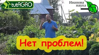 САЖАЕМ ЧЕСНОК ПО ЧЕСНОКУ и ЛУК ПО ЛУКУ. Как посадить чеснок и лук на маленьком участке. Лучшее место