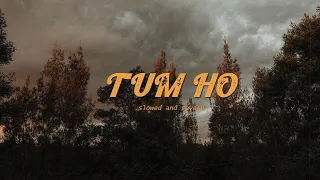 TUM HO - MOHIT CHAUHAN [SLOWED]